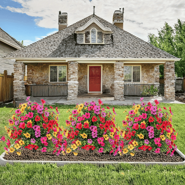 🌷🌷HORKÁ NABÍDKA –  Sleva 60 % 🍀 SVOZK® Celoroční zahradní dekorativní květiny 💦