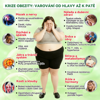 🎖️😍𝐎𝐟𝐢𝐜𝐢á𝐥𝐧í č𝐞𝐬𝐤ý 𝐨𝐛𝐜𝐡𝐨𝐝 |  𝐅𝐥𝐨𝐫𝐢𝐬𝐦𝐚® 𝐌𝐎𝐑𝐈𝐍𝐆𝐀 • 𝐁𝐄𝐑𝐁𝐄𝐑𝐈𝐍 × 𝐍𝐀𝐃+ 𝟏𝟎-𝐢𝐧-𝟏 𝐏𝐨𝐤𝐫𝐨č𝐢𝐥ý 𝐍𝐚𝐧𝐨 𝐌𝐢𝐤𝐫𝐨𝐣𝐞𝐡𝐥𝐲 𝐍á𝐩𝐥𝐚𝐬𝐭 — 𝐉𝐞𝐝𝐧𝐨𝐮 𝐝𝐞𝐧𝐧ě, 𝐯𝐢𝐝𝐢𝐭𝐞𝐥𝐧é 𝐯ý𝐬𝐥𝐞𝐝𝐤𝐲 𝐳𝐚 𝟕 𝐝𝐧í